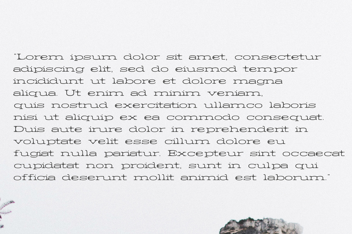 Barric A Serif Font Family preview 6