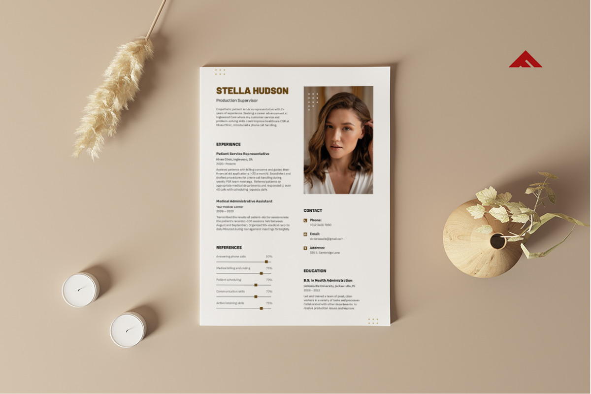 Clean CV, a Resume Template by afahmy