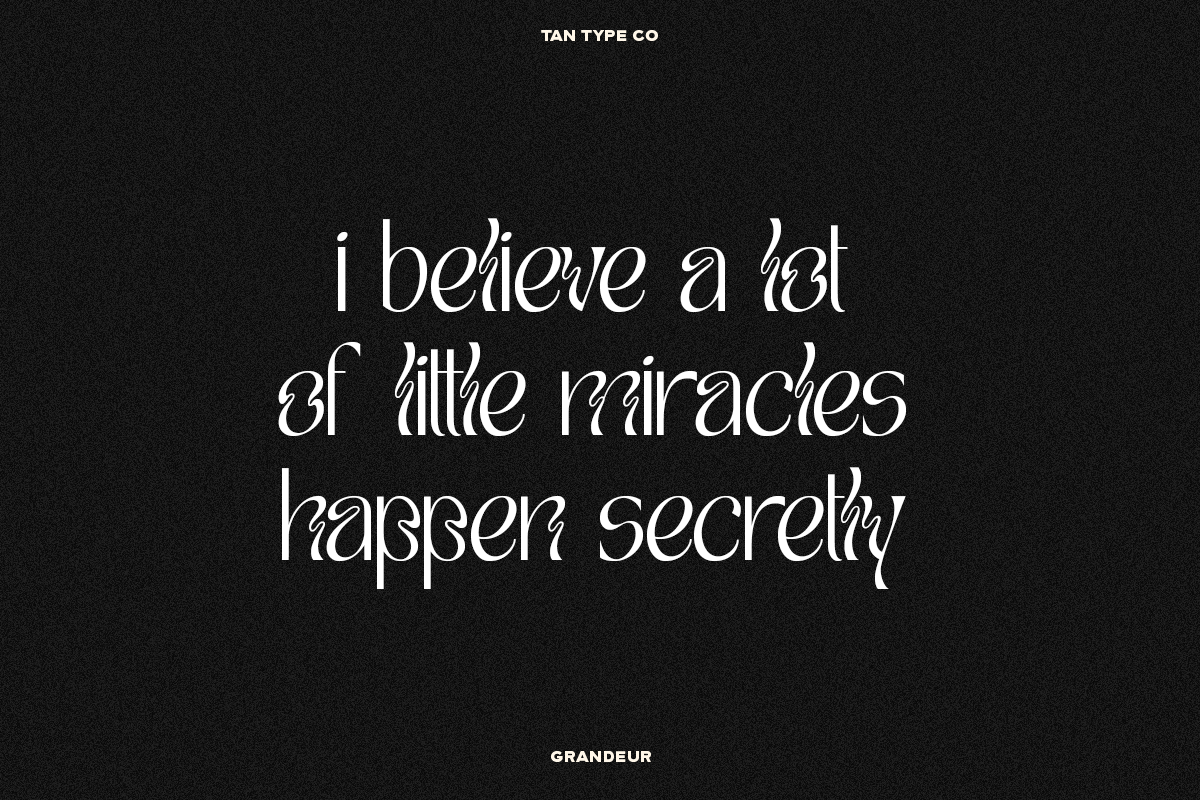 TAN - GRANDEUR, a Sans Serif Font by TanType (Photo 14 of 25)