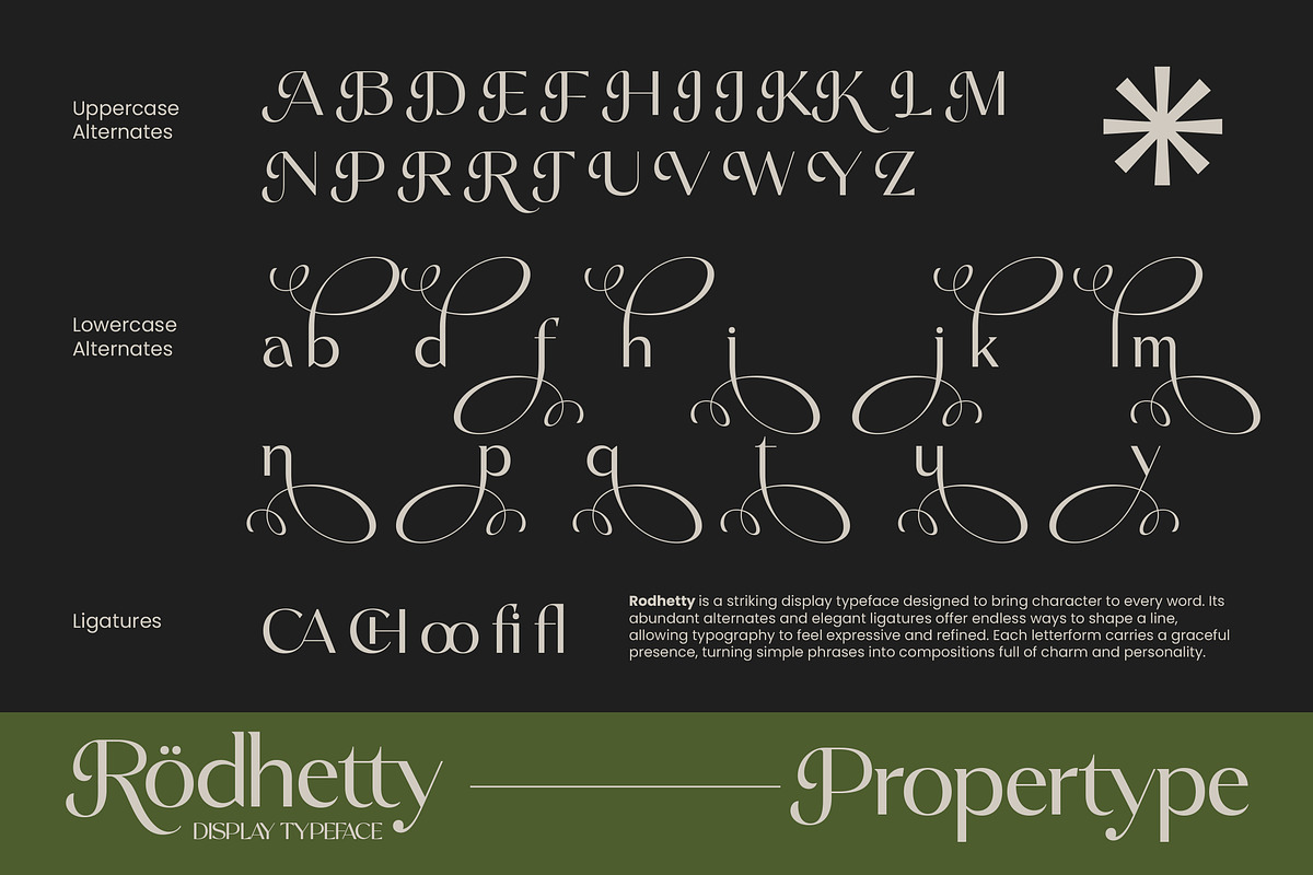 Rodhetty, a Sans Serif Font by Propertype (Photo 13 of 16)
