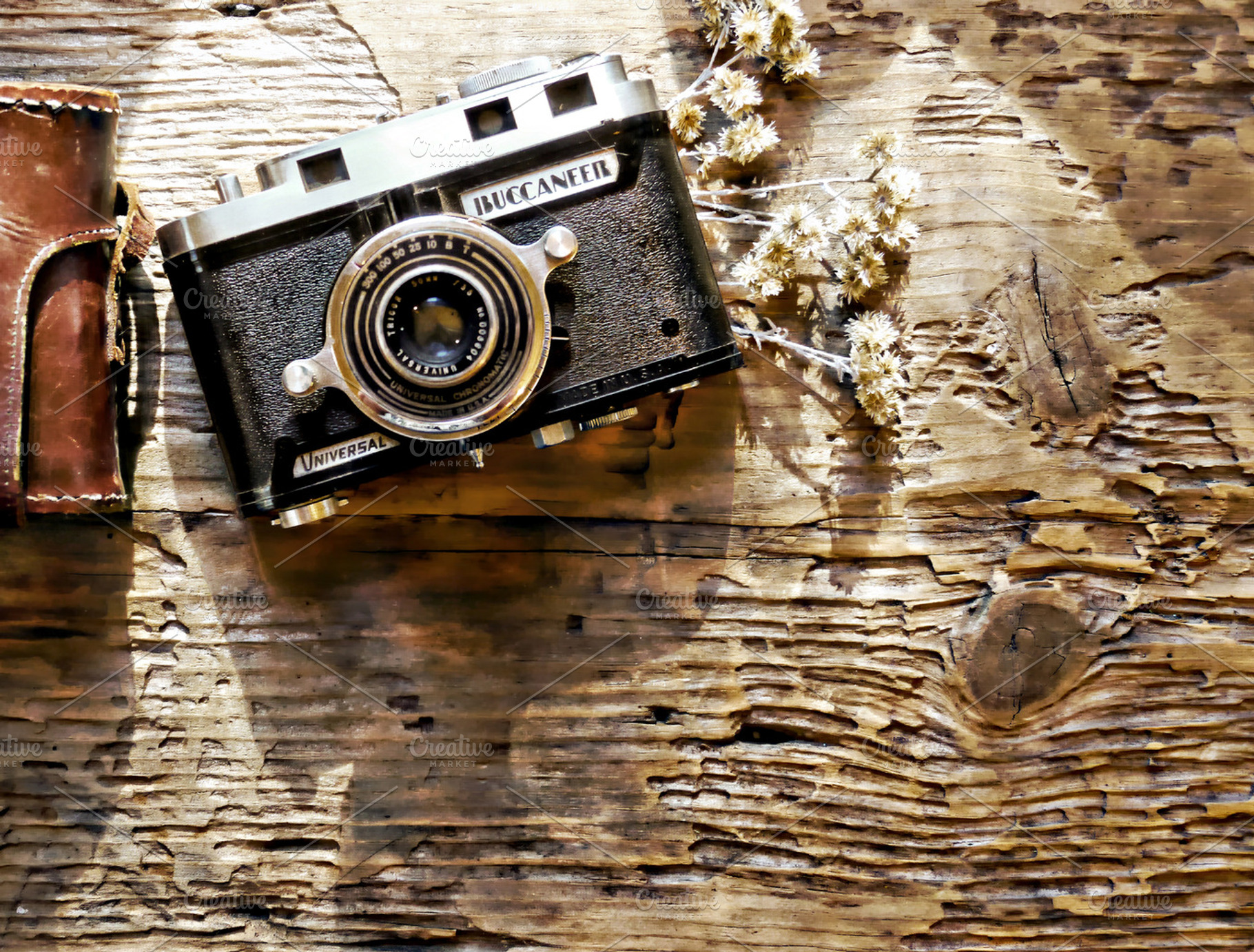 Rustic woodland shot featuring rustic, camera, and woodland, a Nature Photo by HAUTEGRAPHIQUE