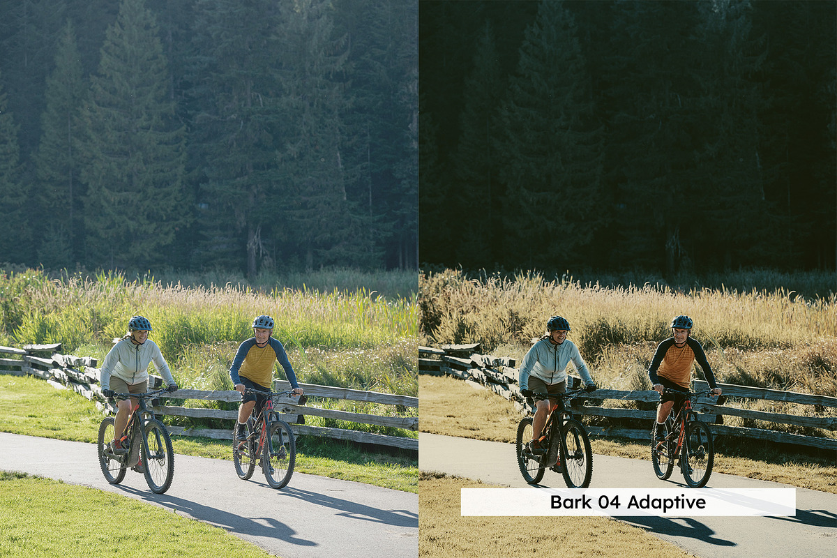 20 Vintage Nature Lightroom Presets, a Preset Add-On by SparkleStock (Photo 7 of 17)