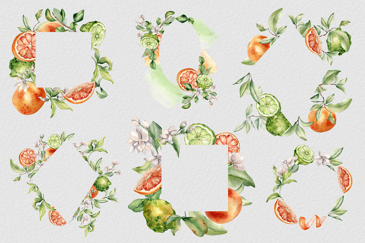 Citrus fruits and flower watercolor, a Decorative Illustration by Kate Lanbina (Photo 10 of 20)