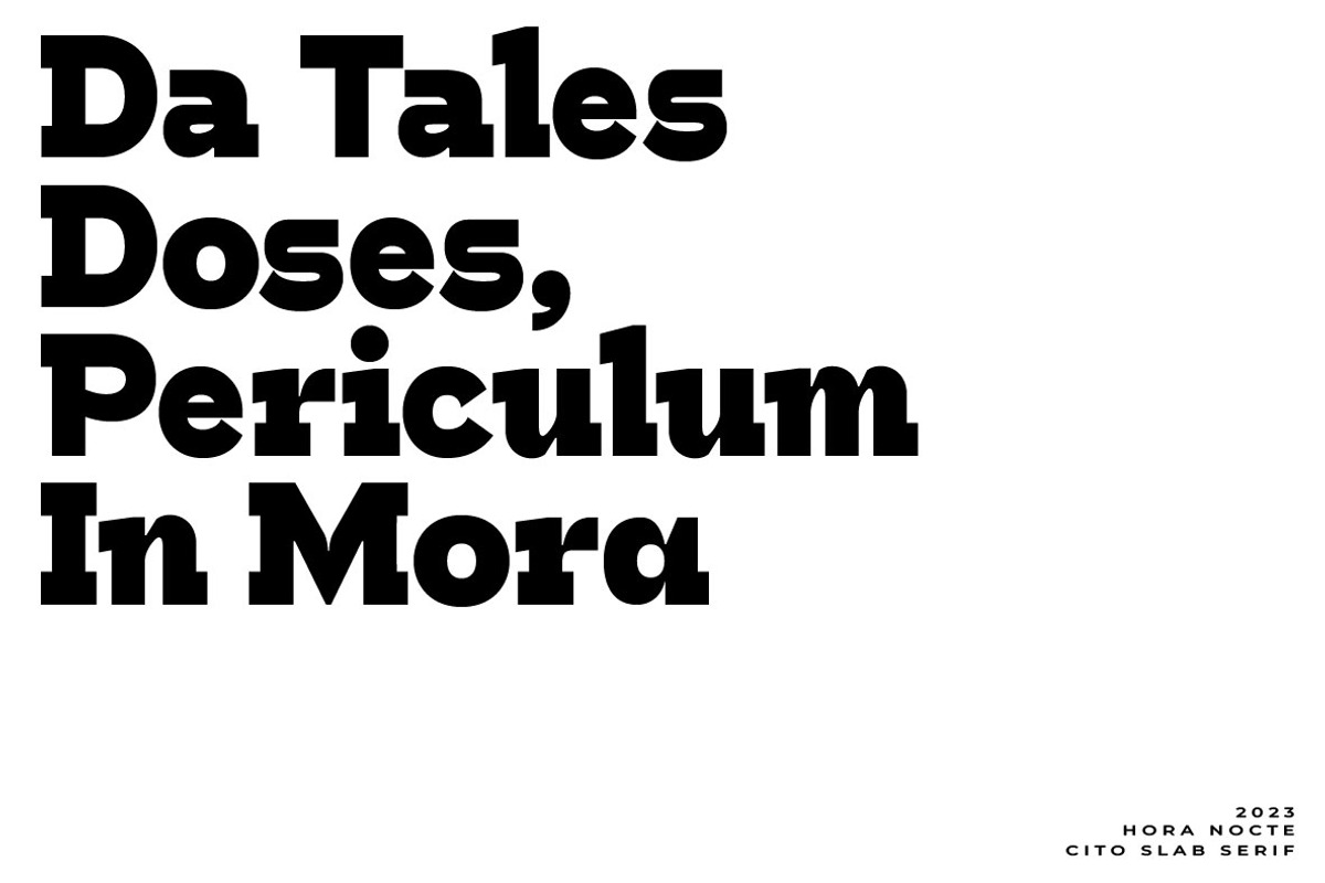 HN Cito, a Slab Serif Font by Hora Nocte (Photo 12 of 12)