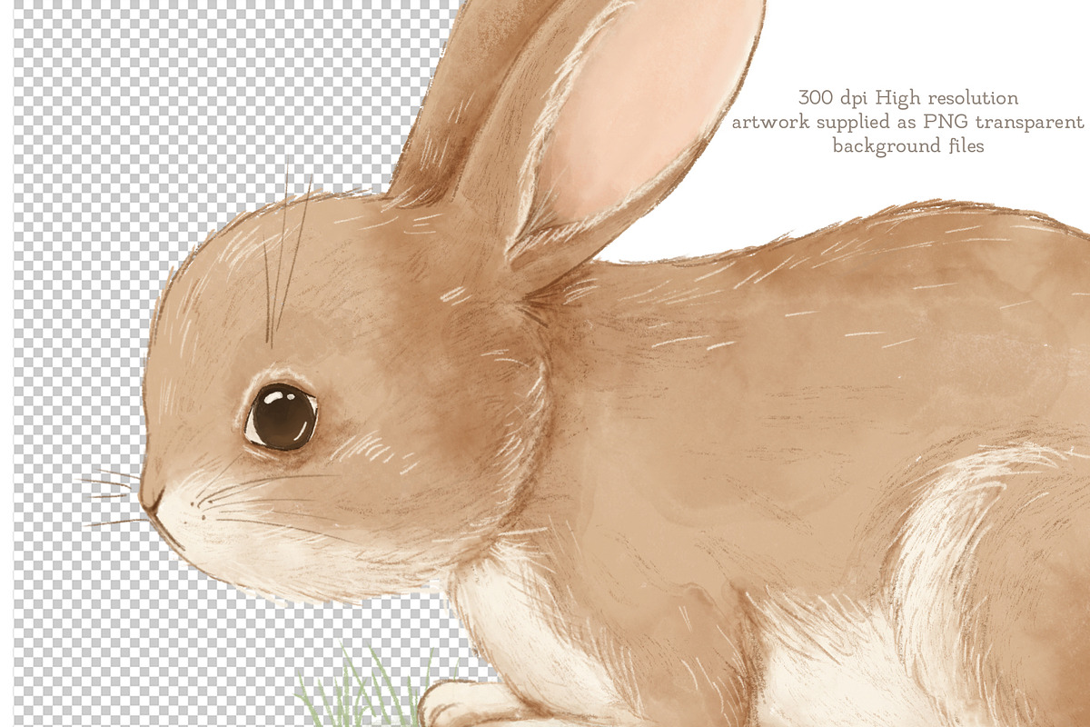 Announcement Clipart and pattern, an Animal Illustration by AlenaVlasko stock Market (Photo 2 of 7)