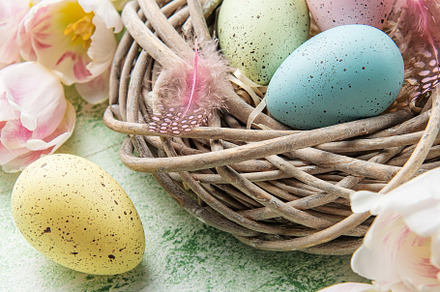 Nest with Easter eggs painted pastel colors on a green wooden ba, a Holiday Photo by Olena Rudo