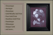 Genuine Gold Photographic Print LUTs preview 2