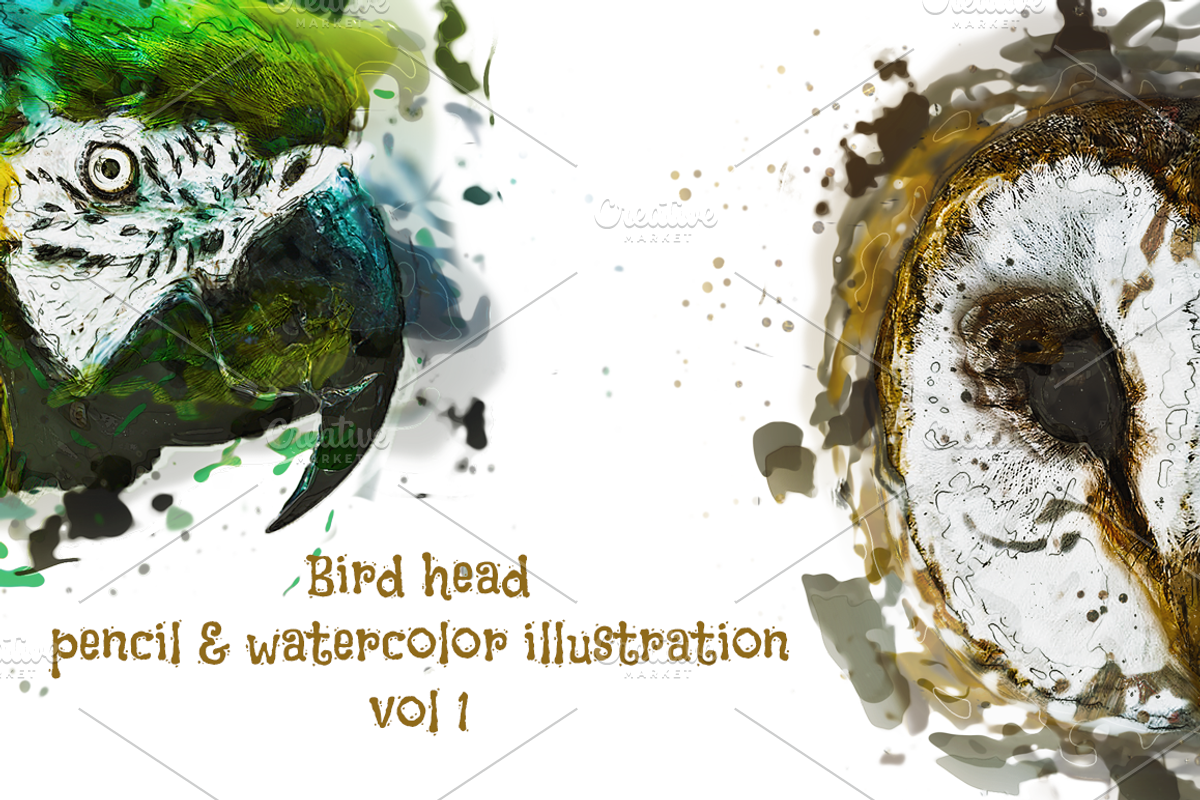 Bird Head Pencil & Watercolor vol 1, an Animal Illustration by Sahade Studio (Photo 1 of 3)