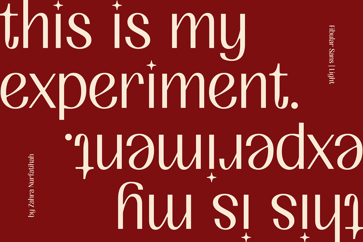 FIBULAR SANS - Variable Display Type, a Sans Serif Font by Artflorara (Photo 15 of 23)
