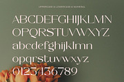Sapyre - New Modern Elegant Serif, a Serif Font by Muflieart (Thumbnail 8 of 10)