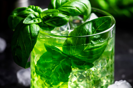 Basil smash green alcoholic cocktail drink with dry gin, sugar s