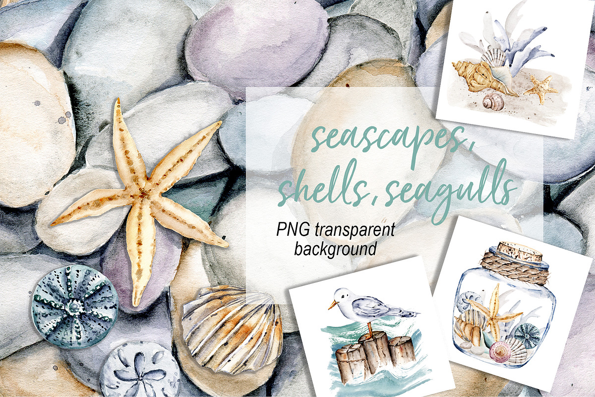 Shells, beach watercolor set., an Illustration by Larisa Maslova (Photo 1 of 13)