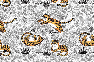 Tigers In The Jungle