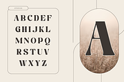 Martina Retro - Branding Logo Font, a Serif Font by Nirmana Visual (Thumbnail 3 of 12)