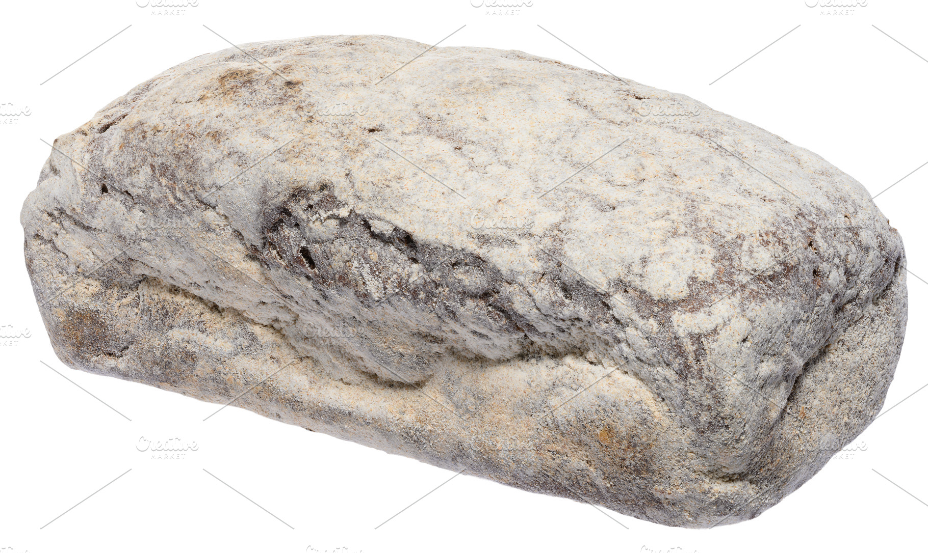 Loaf of rye bread generously sprinkled with flour, isolated back, a Food & Drink Photo by ndanko