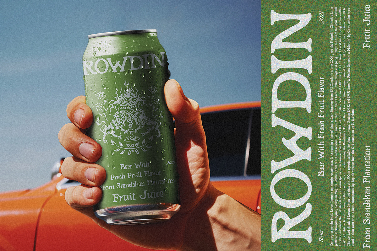 Rowdin Serif, a Serif Font by AROKA (Photo 7 of 10)