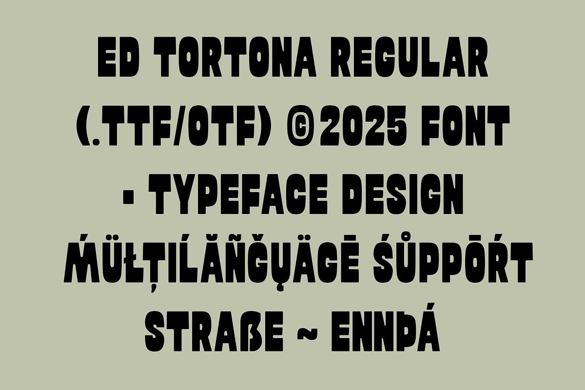 ED Tortona - Display font, a Sans Serif Font by Emyself Design (Photo 9 of 10)