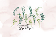 Watercolor flowers, Peony, botanical, an Illustration by Personal Epiphany (Thumbnail 3 of 7)