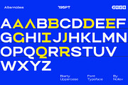 Biarty — Modern Neo-Grotesk Sans, a Sans Serif Font by Nollev (Thumbnail 9 of 13)