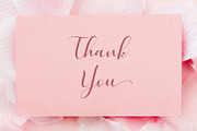 Quintella, a Script Font by Uloel Design (Thumbnail 5 of 5)