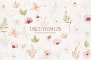 Dried flowers watercolor graphics, an Illustration by Angele Kamp (Thumbnail 4 of 10)