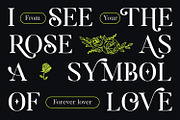 Molagane | Fancy Serif Typeface, a Serif Font by Qaratype (Thumbnail 3 of 26)