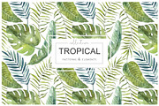 Tropical watercolor collection., a Pattern Graphic by BrushArtDesigns (Thumbnail 2 of 13)