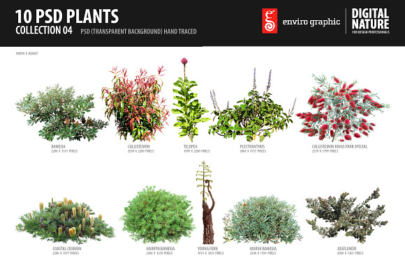 10 PSD Plants Collection 4 preview 6