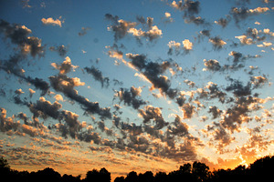 Lineup for Sunset