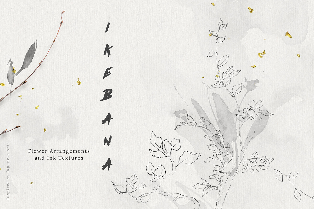 Ikebana Flower Illustrations, a Texture Illustration by Greta Ivy (Photo 1 of 7)