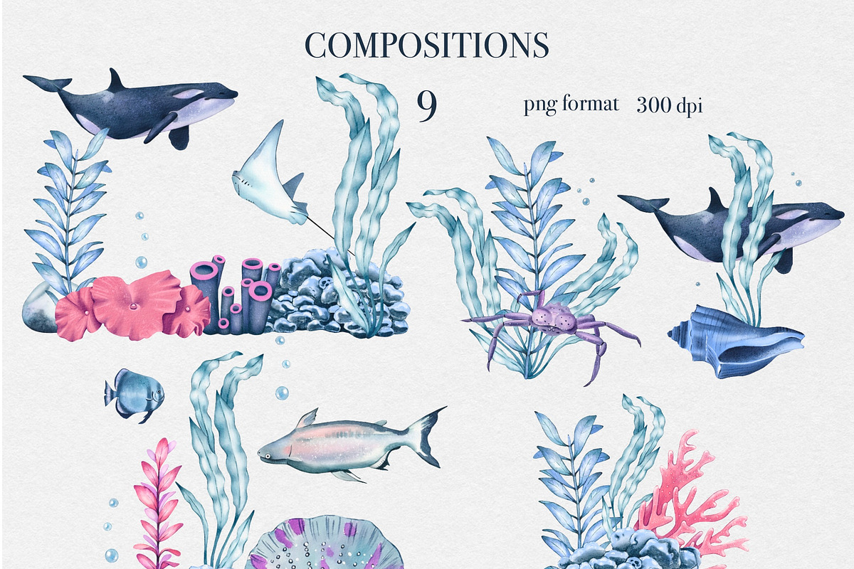 Watercolor Underwater Life Clipart, an Object Illustration by DiashaArt (Photo 2 of 9)
