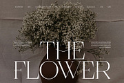 Serifa Elegant Serif Font, a Serif Font by Perfectype (Thumbnail 3 of 8)