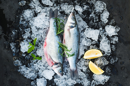 Raw seabass with lemon featuring seabass, fish, and ice, a Food & Drink Photo by Foxys
