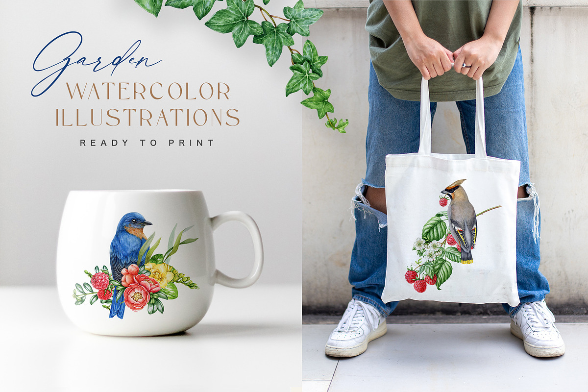 Garden Birds Watercolor Painted Set, an Animal Illustration by AnitaPol (Photo 12 of 21)