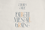 Thorn & Tale – A Refined Serif Font, a Serif Font by VP Fonts (Thumbnail 26 of 30)