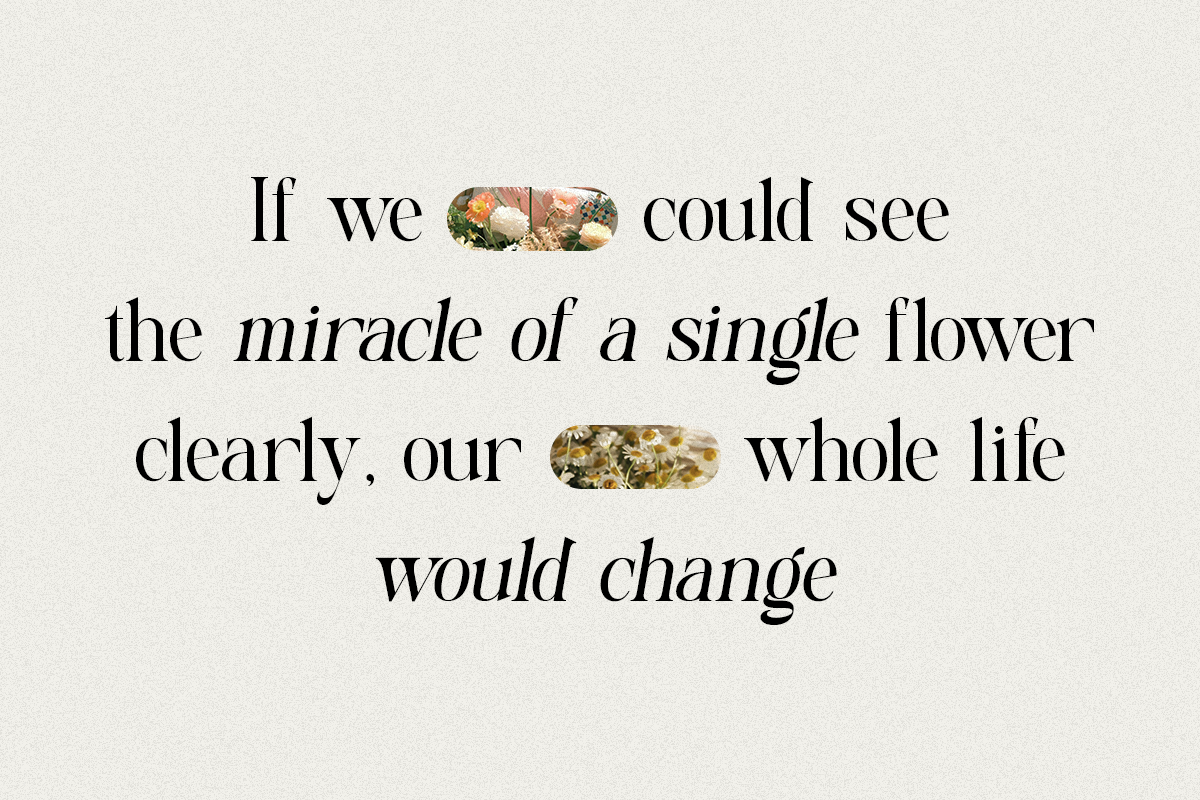 Roach - Modern Display Typeface, a Serif Font by Sohel Studio (Photo 8 of 11)