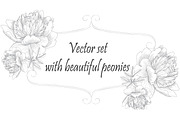 Graphic peonies, a Background Graphic by lycka (Thumbnail 1 of 3)