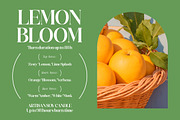 Grand Highland Modern Serif Font, a Serif Font by timelesstype.co (Thumbnail 3 of 15)