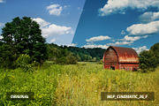 3d Luts - Cinematic Film Looks vol 2, a Preset Add-On by WeLovePresets (Thumbnail 10 of 21)
