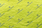 Logo Mockup Wrinkled Cover Paper, a Product Mockup by Asylab (Thumbnail 1 of 5)