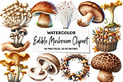 Watercolor Edible Mushroom Clipart, an Illustration by DreamArtGraphic (Thumbnail 1 of 5)