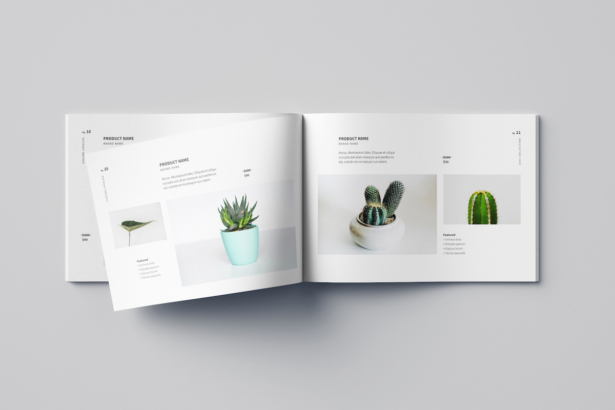 Cagura Brochure/Catalog, a Brochure Template by Meenom Templates (Photo 7 of 14)