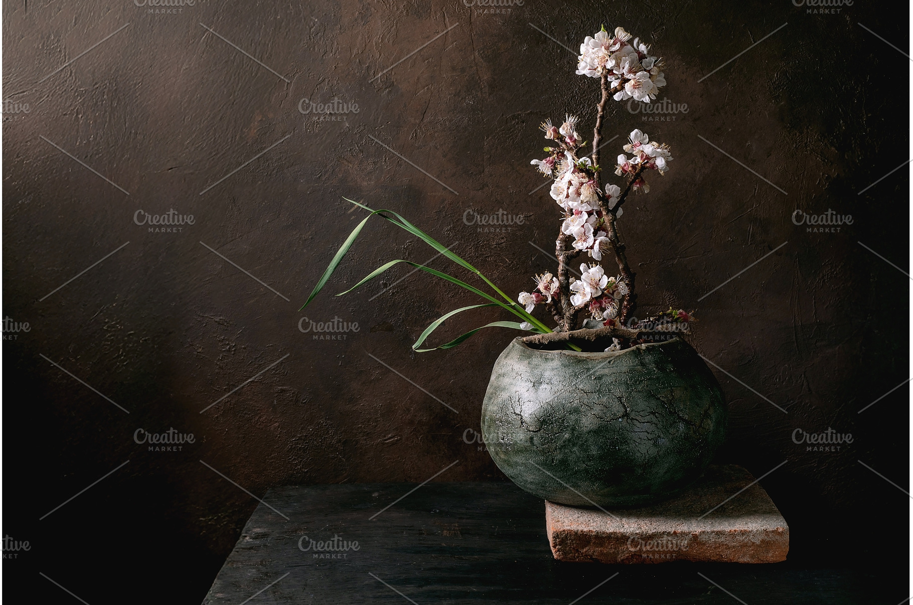 Cherry Blossom Branch In Ceramic Pot, a Nature Photo by Natasha Breen