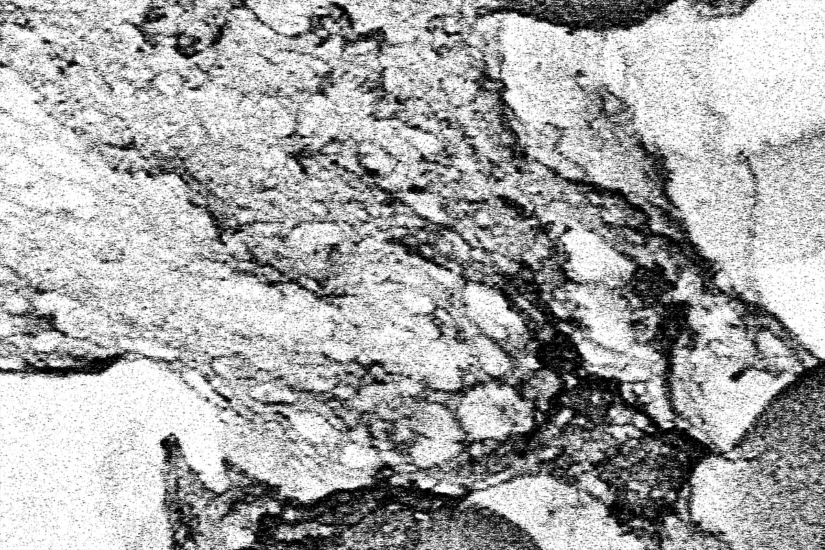Lilliputian, a Texture Graphic by Jennifer Lauren Creative (Photo 26 of 28)