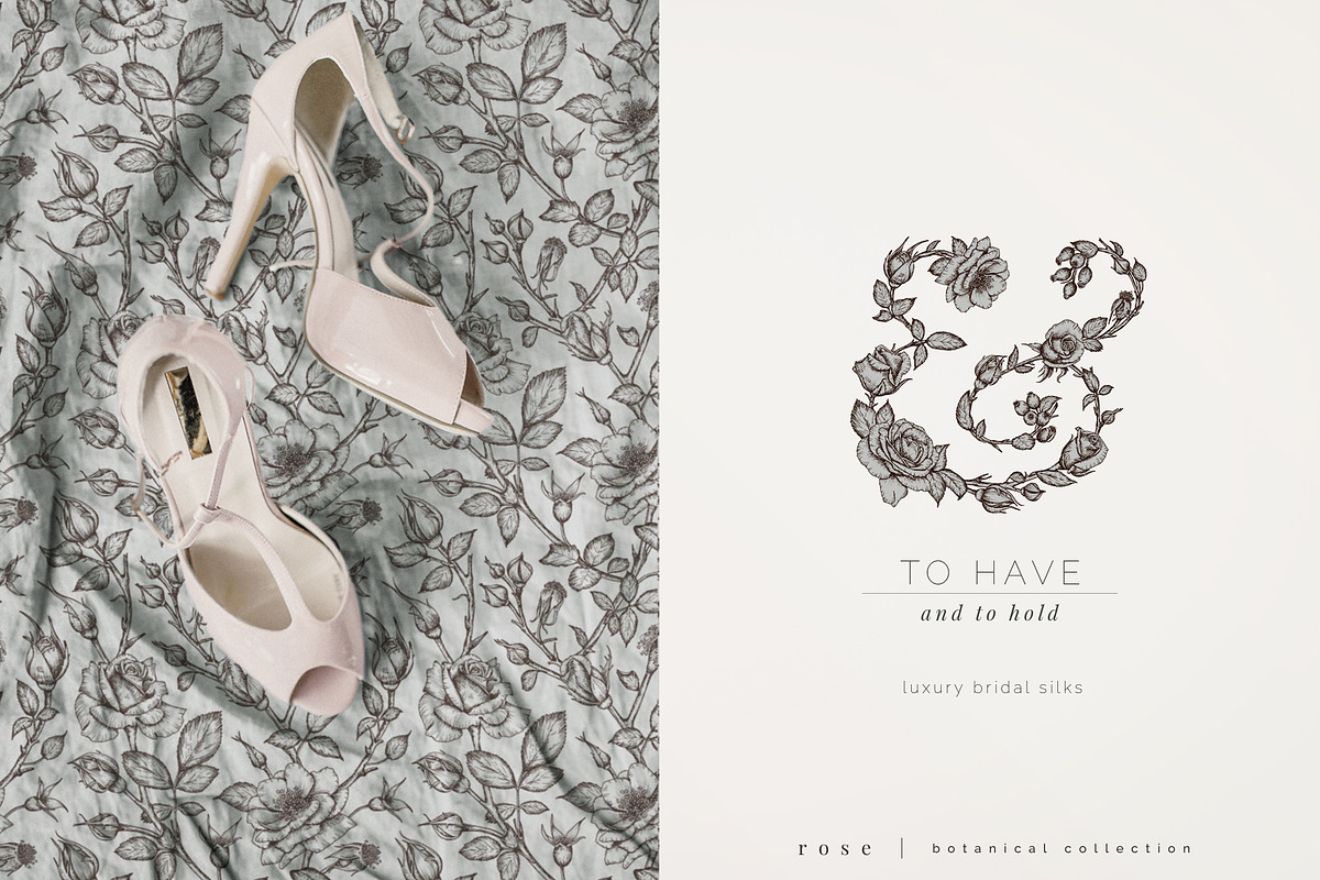 rose | botanical illustrations, an Illustration by Sophia J Caldwell (Photo 6 of 23)
