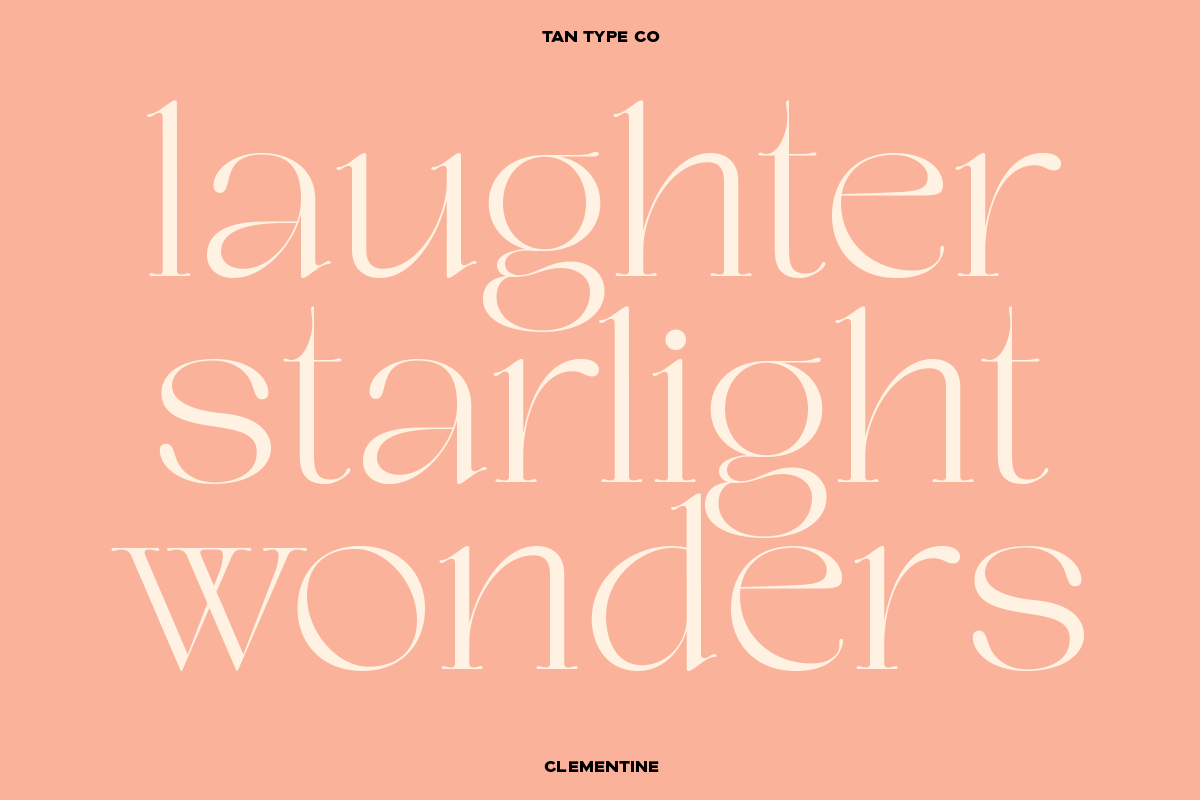 TAN - CLEMENTINE, a Serif Font by TanType (Photo 8 of 20)