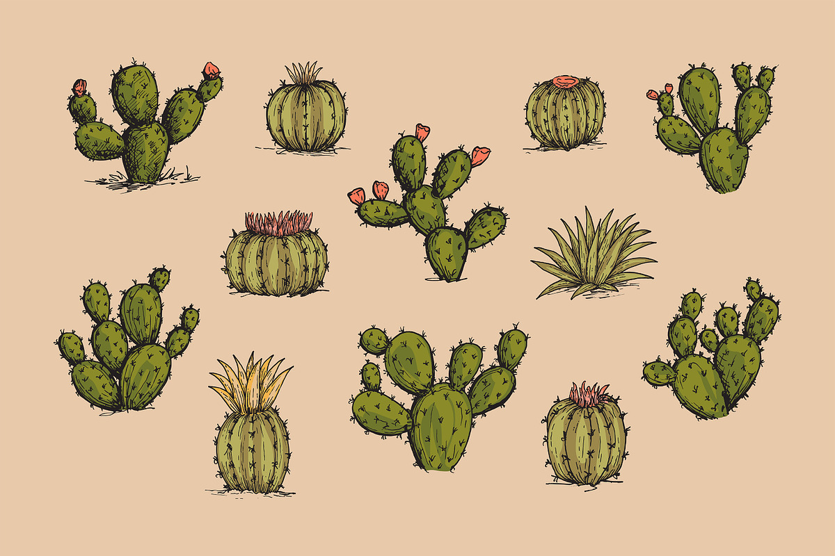 Hand Drawn Desert Landscape Elements, an Illustration by Artolabs (Photo 13 of 19)