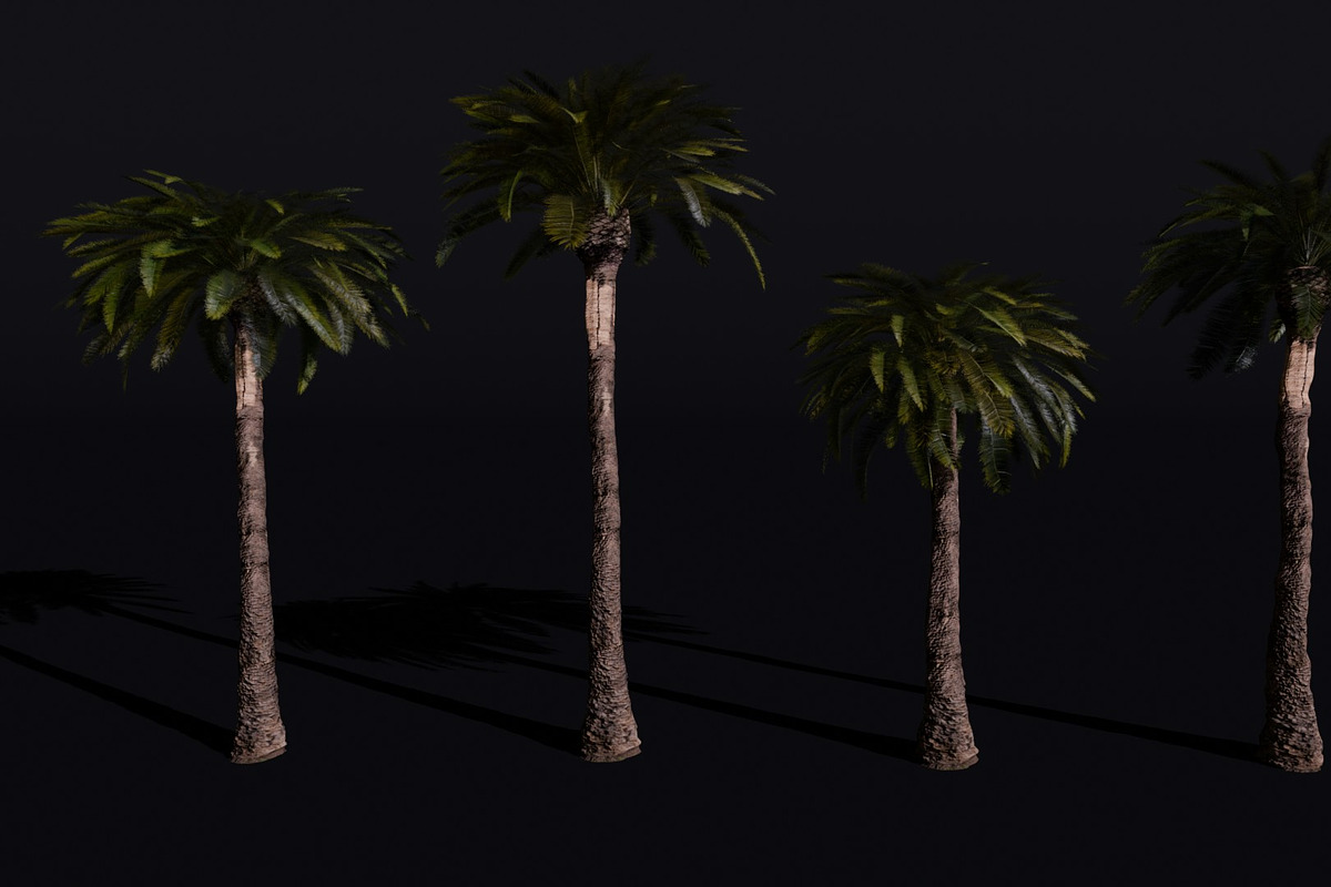 The Date Palm Tree, a Plants & Tree 3D Model by FuturePastCreatives (Photo 1 of 6)