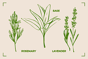 AROMATHERAPY (26 illustrations), a Healthcare Illustration by Bonfloret Studio (Thumbnail 5 of 11)