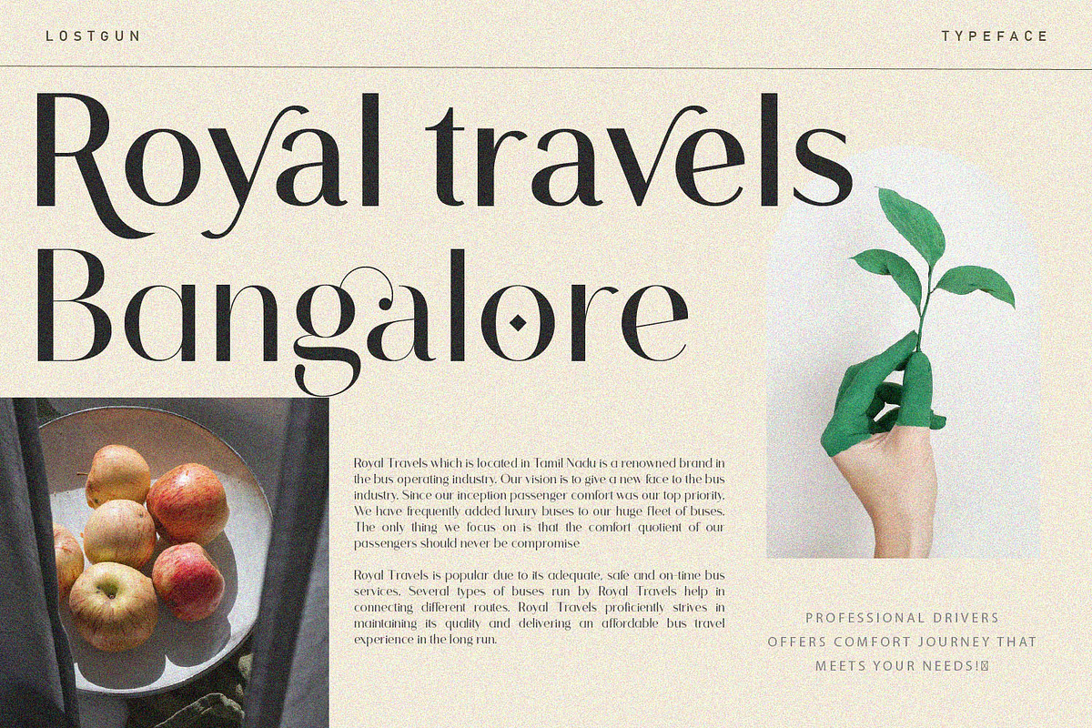 Lostgun Sans | Modern Typeface, a Sans Serif Font by Qaratype (Photo 5 of 17)